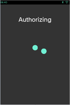 ../../_images/media_disp_scrn_ui_p630_trnsflow_auth.png